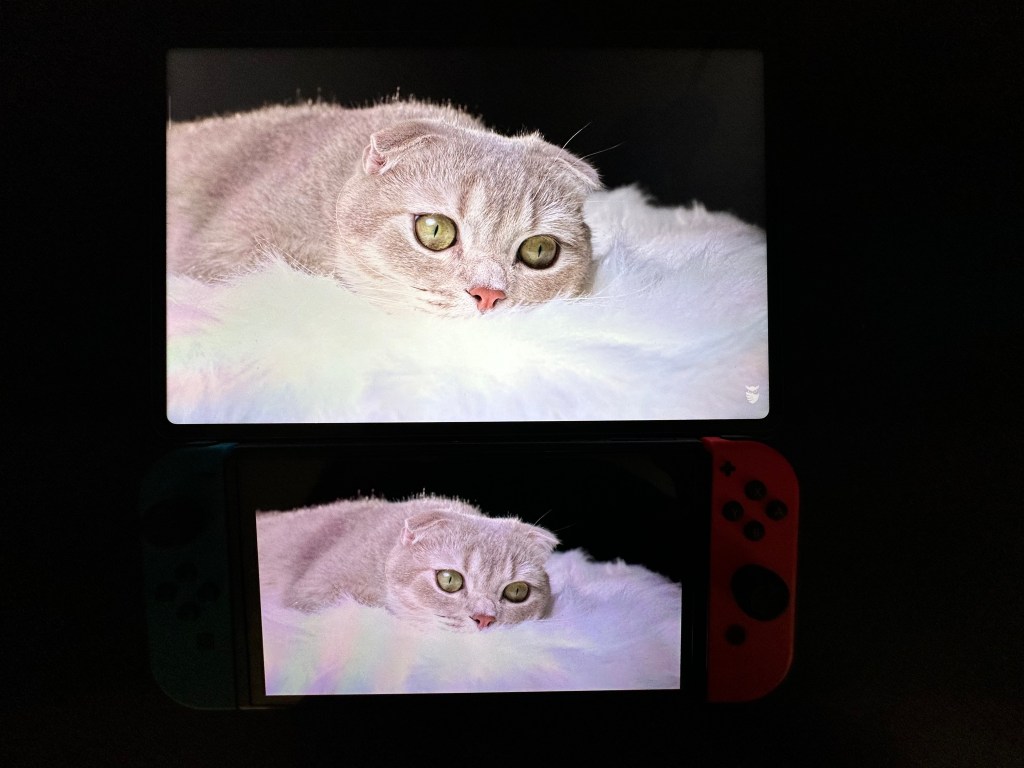 Switch OLED display against Pad 6 Display - Cat