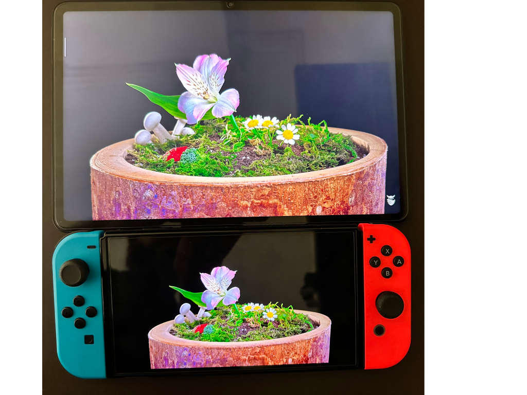 Switch OLED display against Pad 6 Display - Flower pot